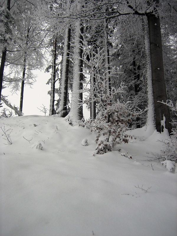 2009 12 13 A
